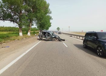 На Кубани «Лада» врезалась в дерево: погиб человек