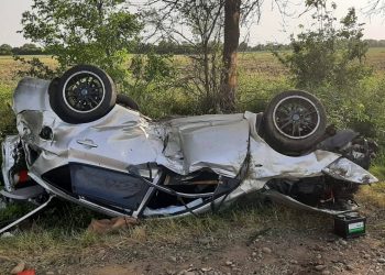 На Кубани иномарка врезалась в дерево: погибли два человека