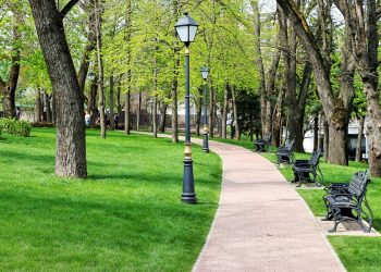 За пять лет на Кубани благоустроили более 1200 скверов и парков