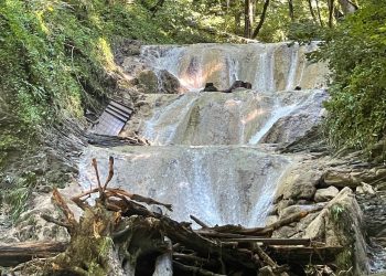 В Сочинском нацпарке восстановят объекты, разрушенные стихией