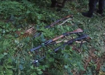 В Сочинском нацпарке задержали трех браконьеров