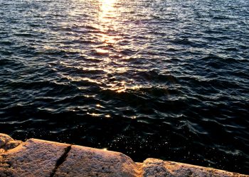 На Кубани в машинное отделение сухогруза поступила вода