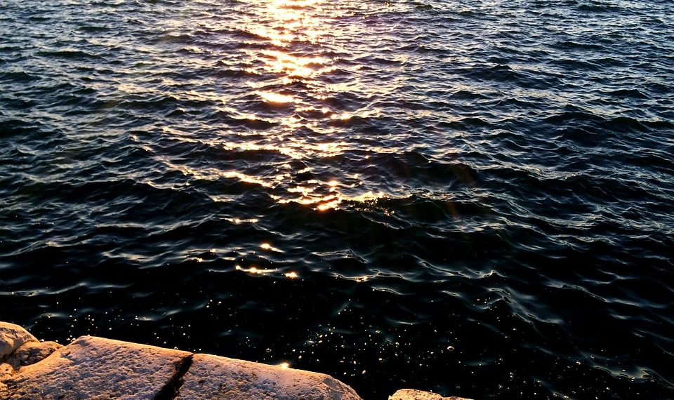 На Кубани в машинное отделение сухогруза поступила вода