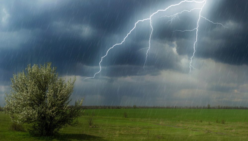 На Кубани ожидается сильный дождь и ветер до 20 м/с