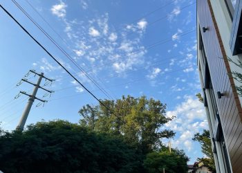 Специалисты Сочинских электрических сетей выявили 80 нарушений охранных зон ЛЭП