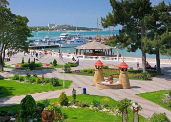 Из Москвы в Геленджик запустили автобусы