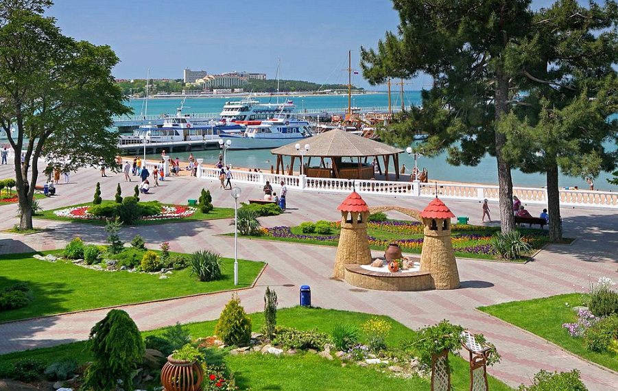 Из Москвы в Геленджик запустили автобусы