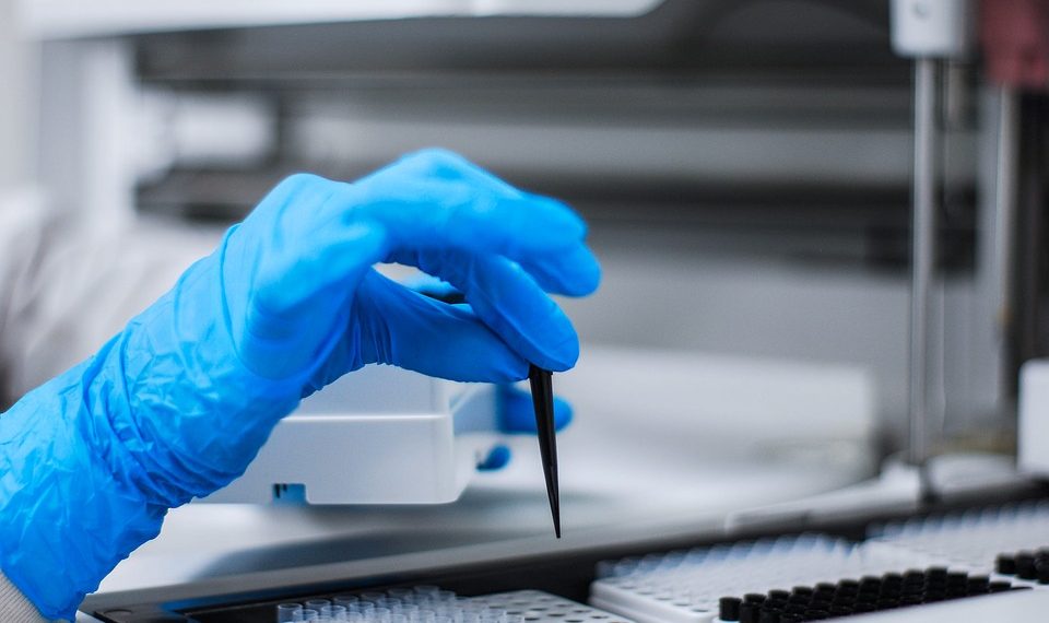 На Кубани не зарегистрировано ни одного случая оспы обезьян