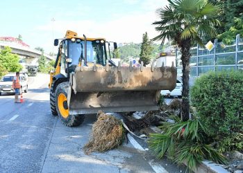 В Сочи 28 домов признали пострадавшими от стихии