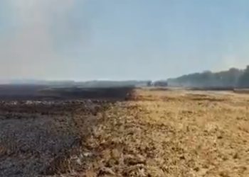 На Кубани горело поле: пострадал мужчина