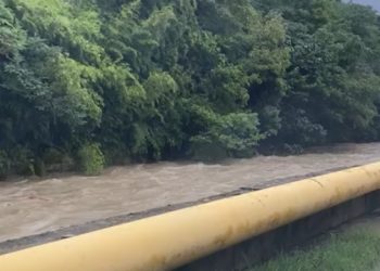 В районе Дагомыса уровень воды приблизился к опасной отметке