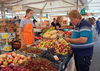 В Сочи ведут мониторинг цен на социально значимые товары
