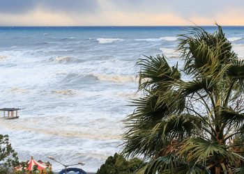 В Сочи ожидаются ливни и сильный ветер