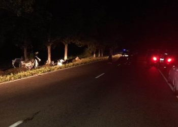 В Адыгее «Лада» врезалась в дерево: погиб водитель