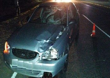 На Кубани Hyundai насмерть сбил 54-летнюю женщину