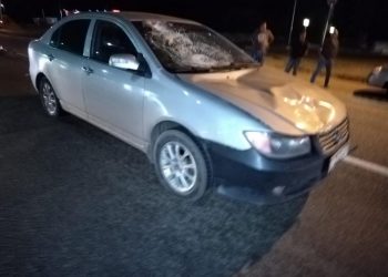 На Кубани Lifan сбил 45-летнего мужчину