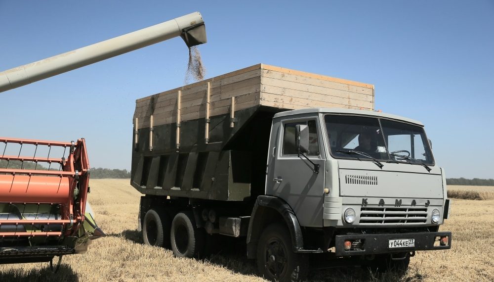 В Краснодаре собрали почти 73 тысячи тонн зерна