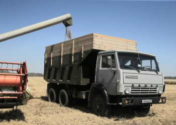 В Краснодаре собрали почти 73 тысячи тонн зерна