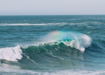 В Анапе дрон спас тонущего из-за сведенных судорогой ног мужчину