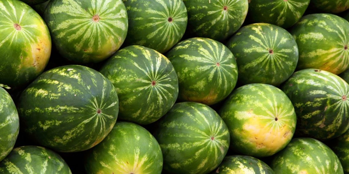 На ярмарках в Краснодаре начали торговать арбузами