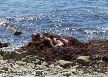 В Анапе турист в костюме Адама переполошил пляж, принимая водорослевые ванны