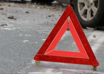 Под Краснодаром женщина в костюме Евы молилась и лежала на дороге