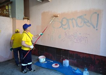 В Сочи продолжается профилактика борьбы с вандализмом