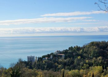 «Это чудо-чудное»: пользователи соцсетей о сексе на катамаране в открытом море в Сочи