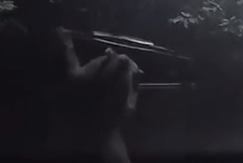 В Сочи играющий мусорными баками медведь попал на видео и стал звездой Интернета