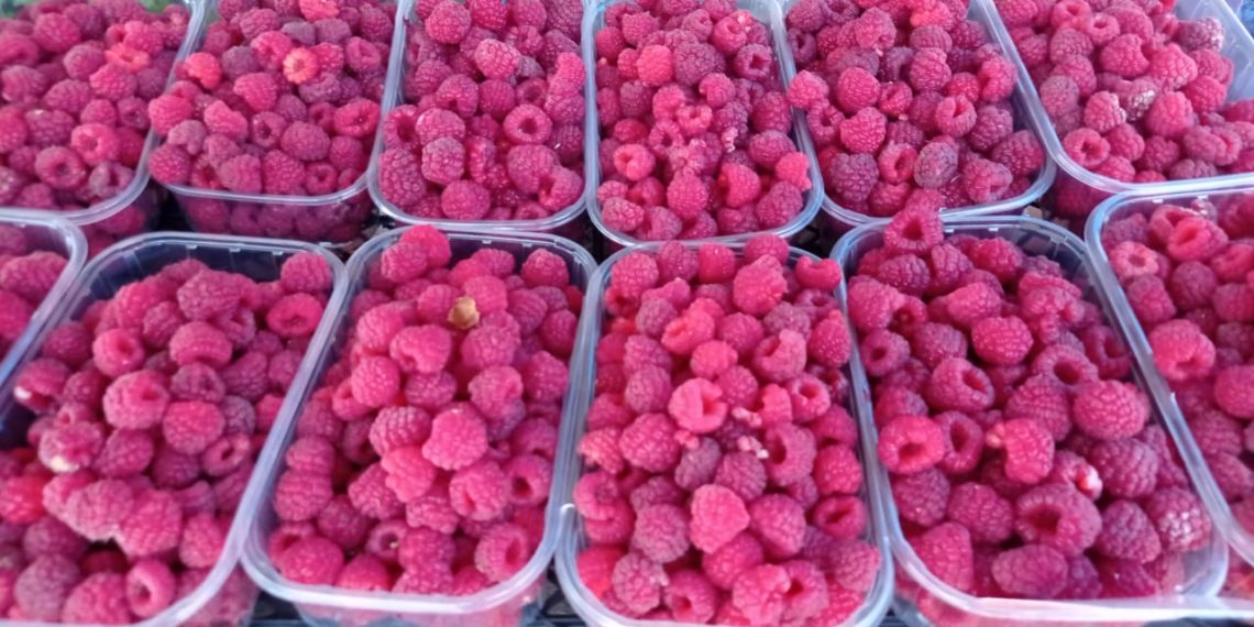 Стали известны ярмарочные цены на продукты в Сочи