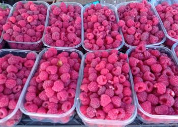 Стали известны ярмарочные цены на продукты в Сочи