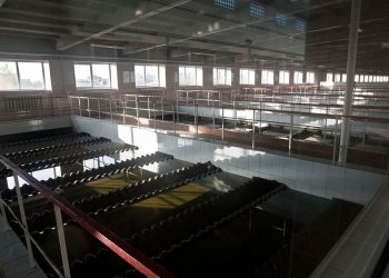 В Сочи с начала 2022 года переработали 31,7 кубических метров жидких бытовых отходов 