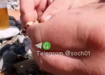 В Сочи съевший и запивший пивом сырую мидию мужчина попал на видео