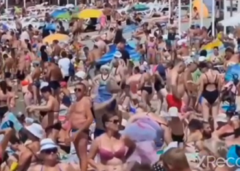 На пляжах Кубани наблюдается массовый «стояк»