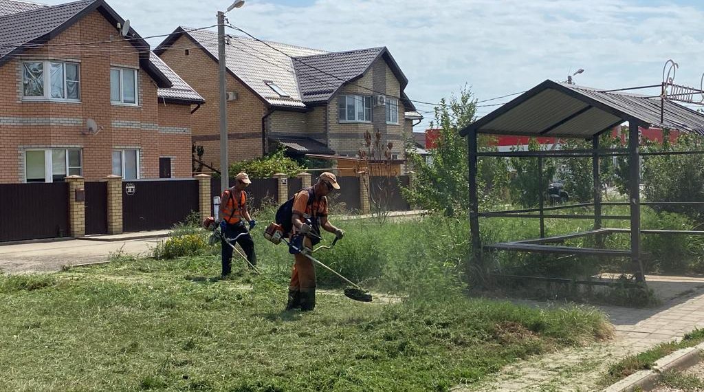 В Краснодаре 130 человек наказали за амброзию