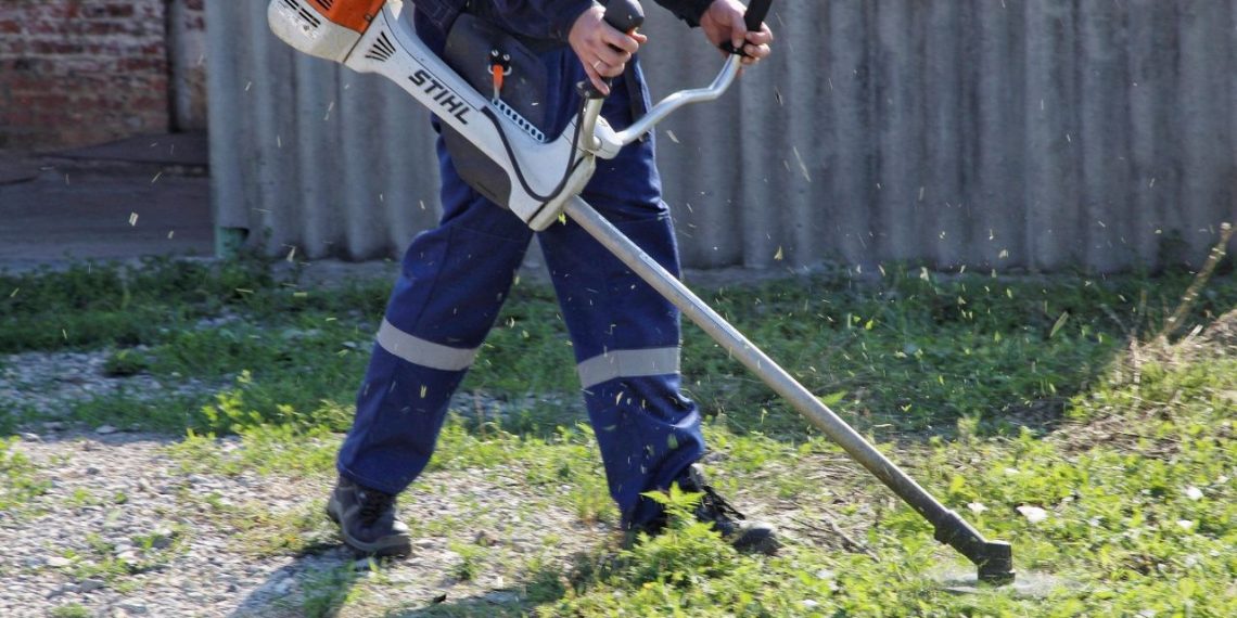 В Краснодаре выкосили более 5 тысяч гектаров сорняков