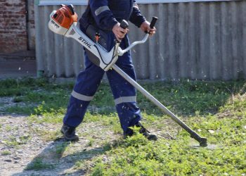 В Краснодаре выкосили более 5 тысяч гектаров сорняков