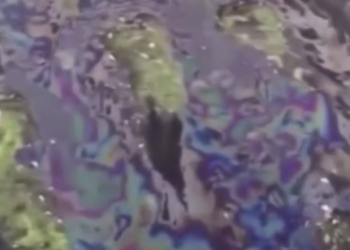 В Сочи сливали в реку нефтепродукты