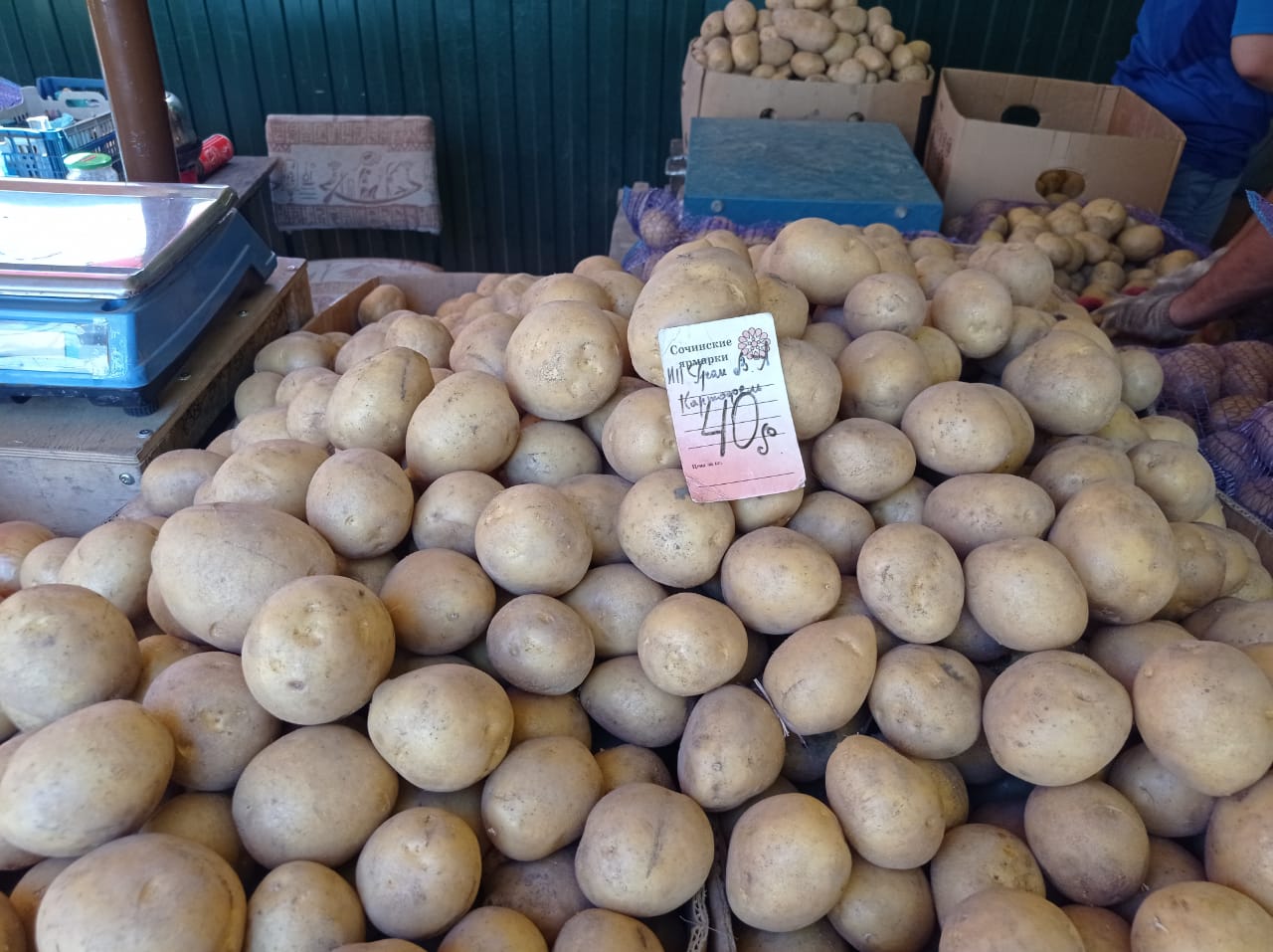 ярмарка дагомыс. рынок в дагомысе на армавирской. ярмарка сочи. центральный рынок дагомыс. рынок в дагомысе.