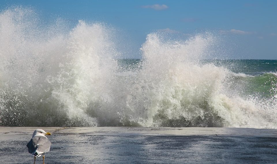 На пляже в Джубге нашли тело девушки