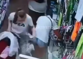 В Краснодаре нервная собака в магазине напала на девушку из-за того, что испугалась детской коляски