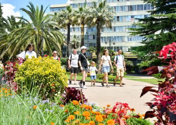 В Сочи находятся более 200 тысяч туристов