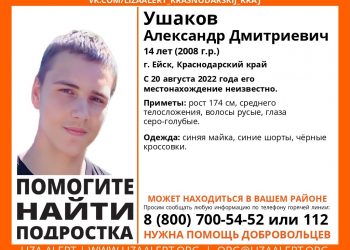 В Краснодарском крае без вести пропал подросток в синей майке