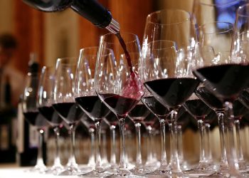 В Краснодарском крае перевыполнят план по закладке виноградников до1800 га