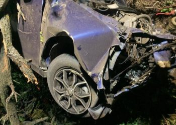 На Кубани Nissan врезался в дерево: погибли два человека