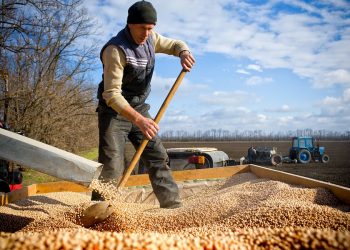 На Кубани хотят кредитовать фермеров под залог собранного урожая