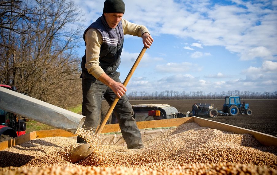 На Кубани хотят кредитовать фермеров под залог собранного урожая