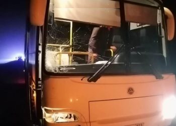 На Кубани автобус насмерть сбил женщину