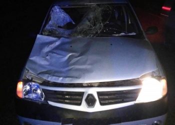 На Кубани иномарка насмерть сбила мужчину