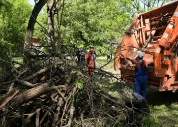 В Краснодаре 17 сентября пройдет общегородской субботник